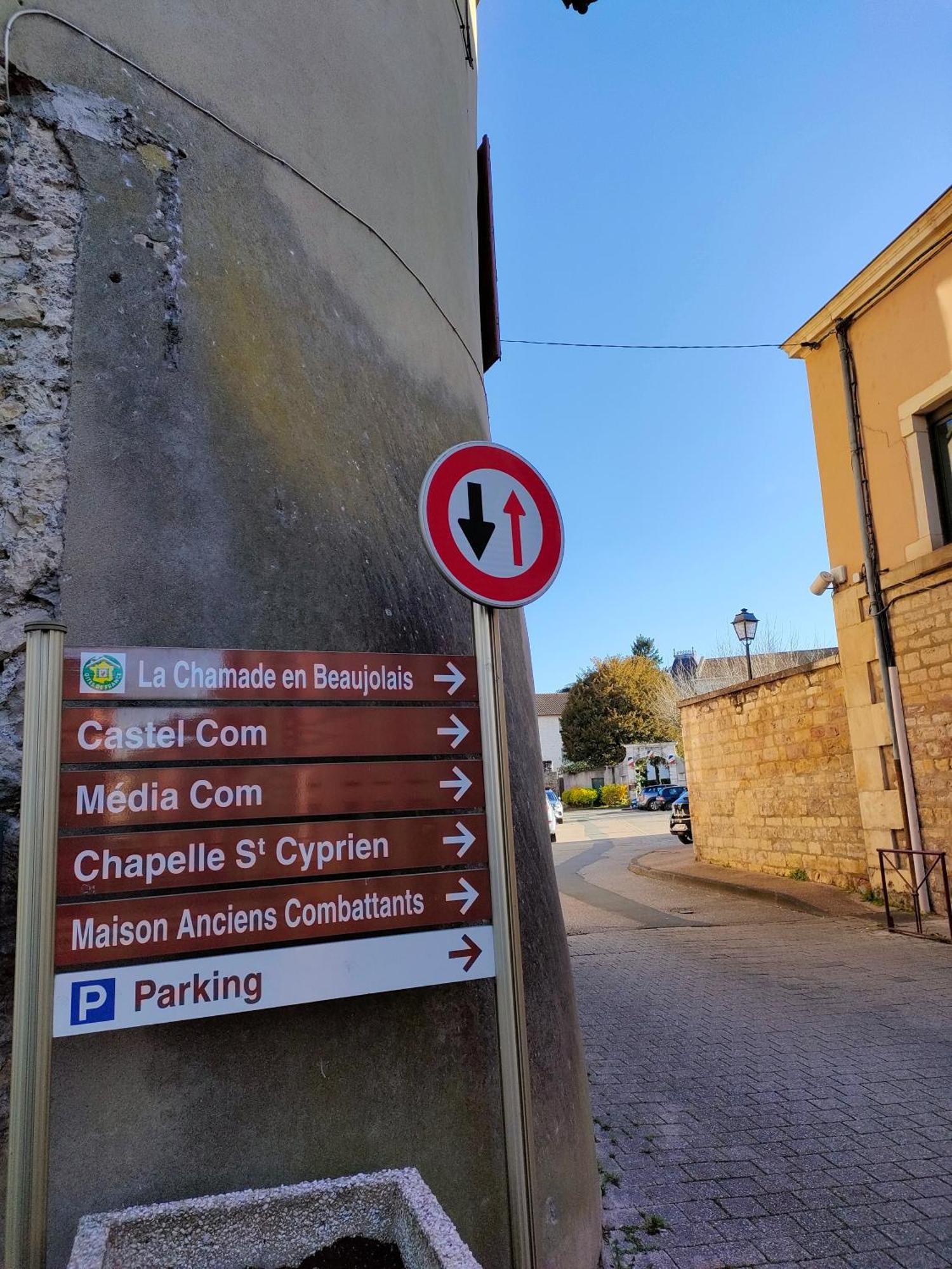 La Chamade En Beaujolais Bed & Breakfast Anse Bagian luar foto