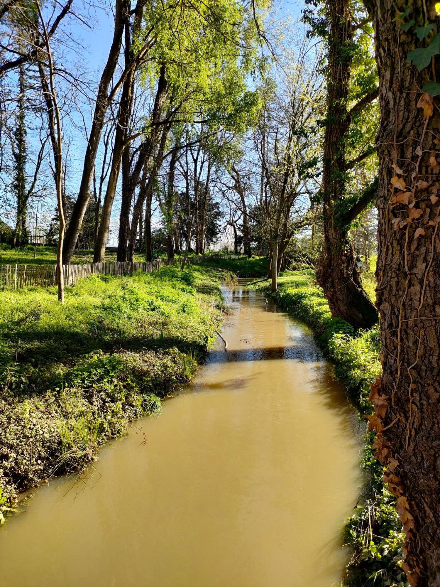 La Chamade En Beaujolais Bed & Breakfast Anse Bagian luar foto